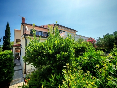 Barbat