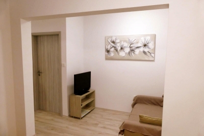 Apartman VILI 3: