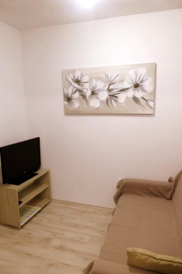 Apartman VILI 3: