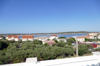 Barbat